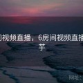 6房间视频直播，6房间视频直播小洋芋