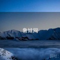 鲁妹网