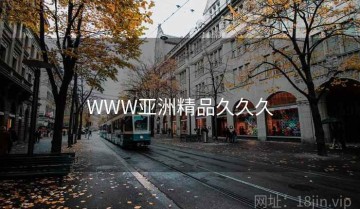 WWW亚洲精品久久久