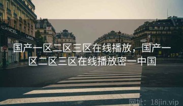 国产一区二区三区在线播放，国产一区二区三区在线播放密一中国