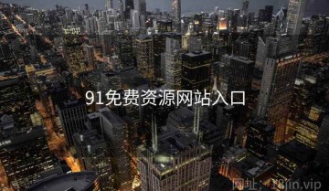 91免费资源网站入口