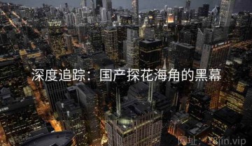 深度追踪：国产探花海角的黑幕